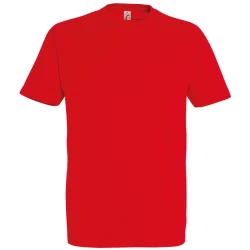 T-Shirt RTP190 Homme