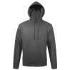 Sweat-Shirt à capuche RTP280 Unisexe