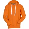 Sweat-Shirt à capuche RTP300 Homme