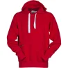 Sweat-Shirt à capuche RTP300 Homme