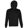 Sweat-Shirt à capuche RTP450 Unisexe
