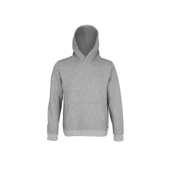 Sweat-Shirt à capuche Fabriqué en France RTP300 Unisexe